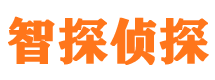 合作市调查公司